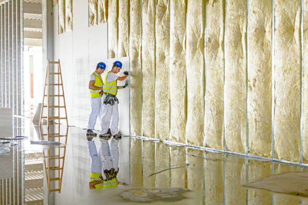 Best Insulation Installation Services in Mcgaheysville, VA